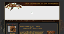 Desktop Screenshot of foxredlab.com