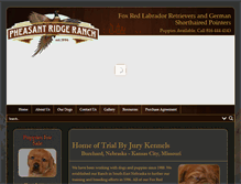 Tablet Screenshot of foxredlab.com